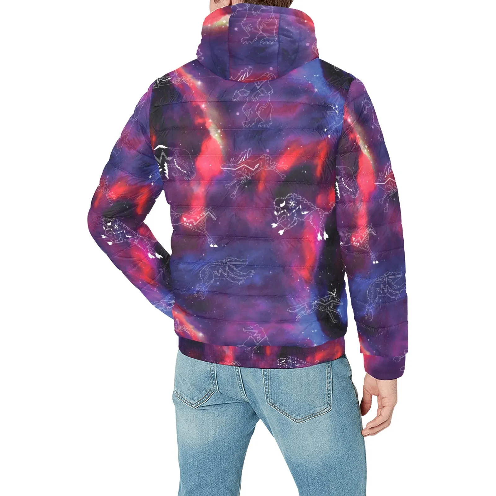 Animal Ancestors 3 Blue Pink Swirl Men's Padded Hooded Jacket