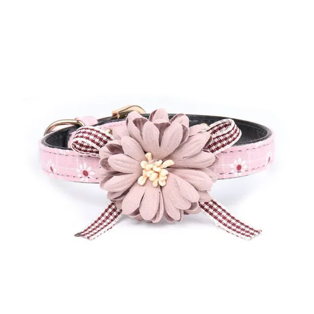 Collar w/ Flower Bow