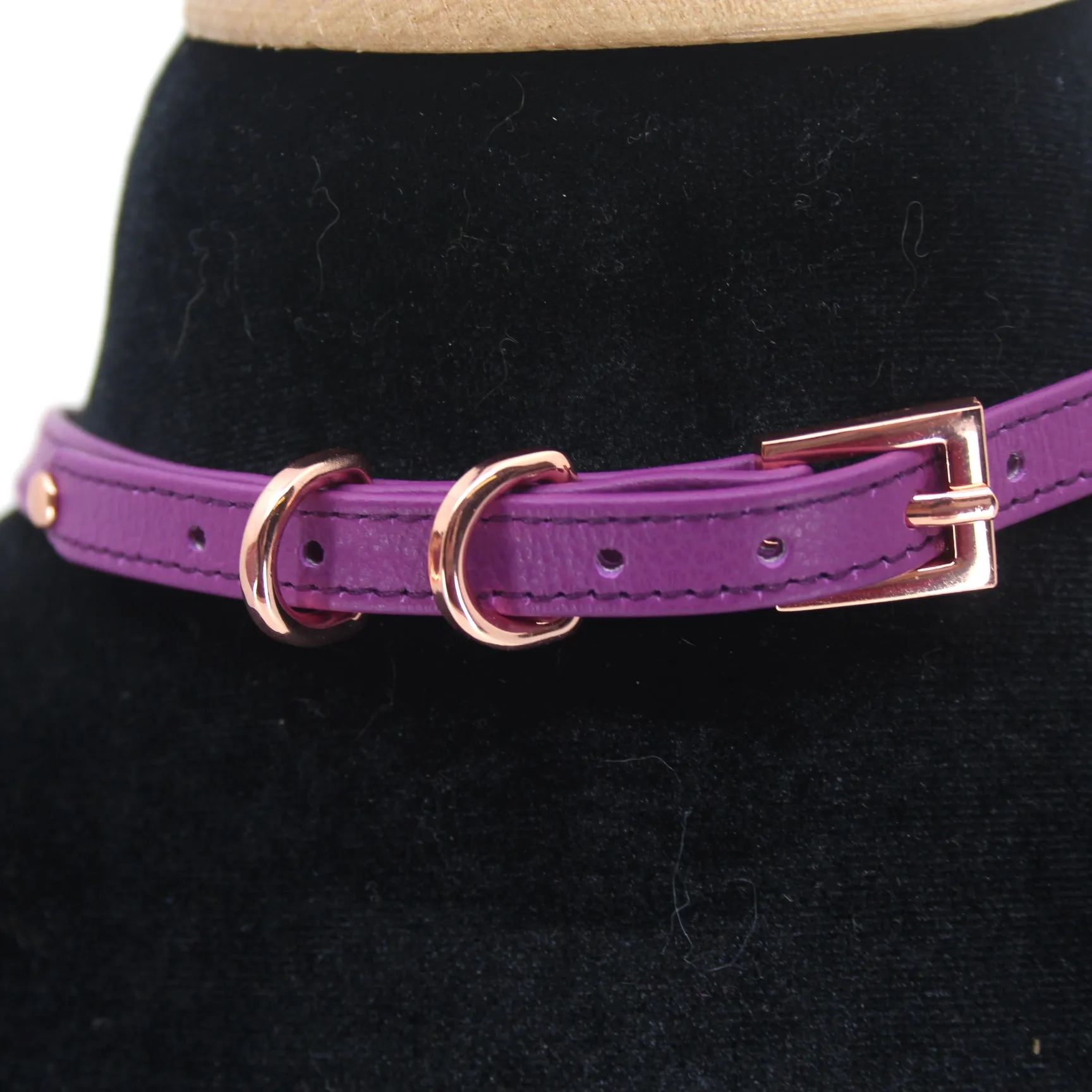 Crystal Ring of O Mini Collar in Amethyst