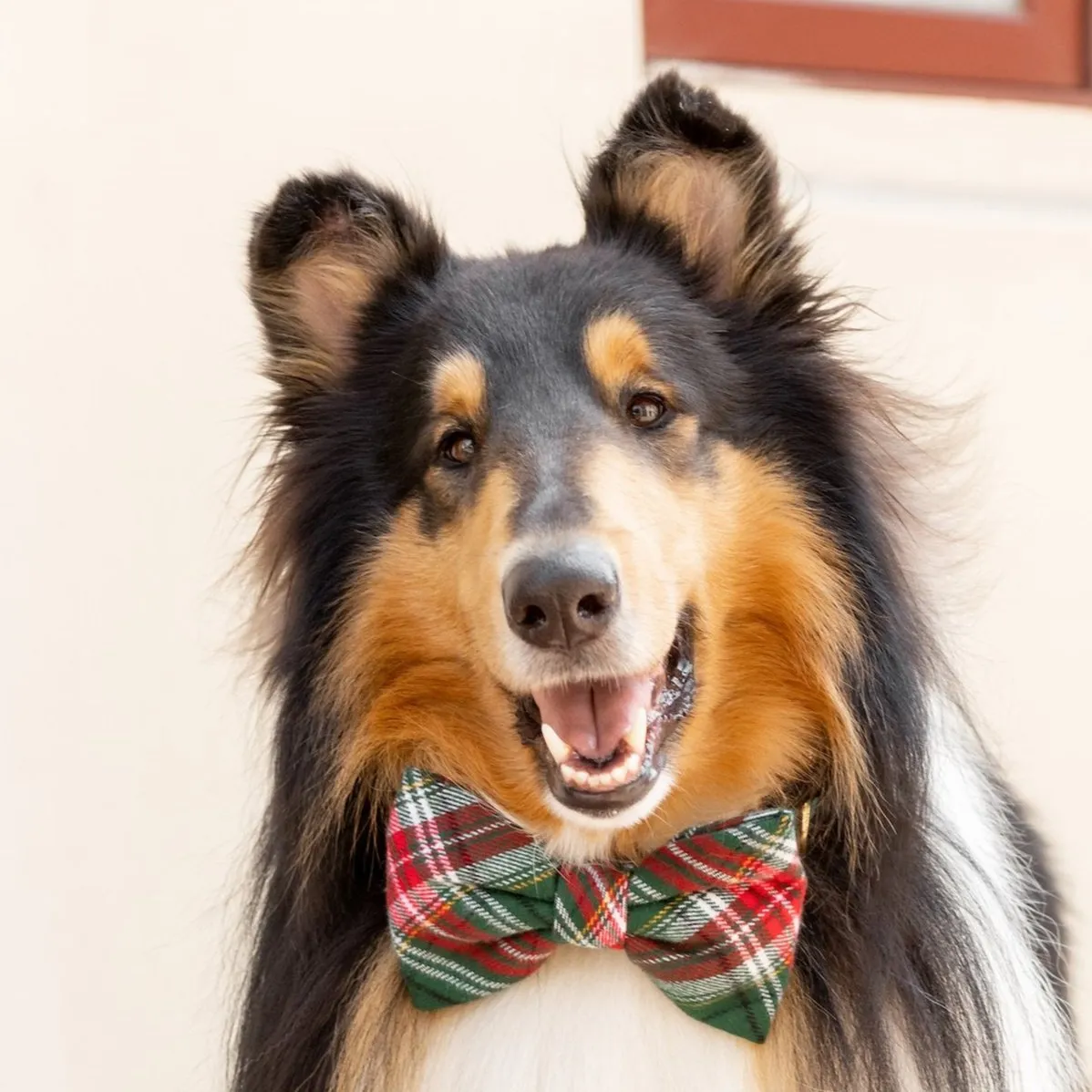 Holly Jolly Plaid Flannel Bow Tie Collar