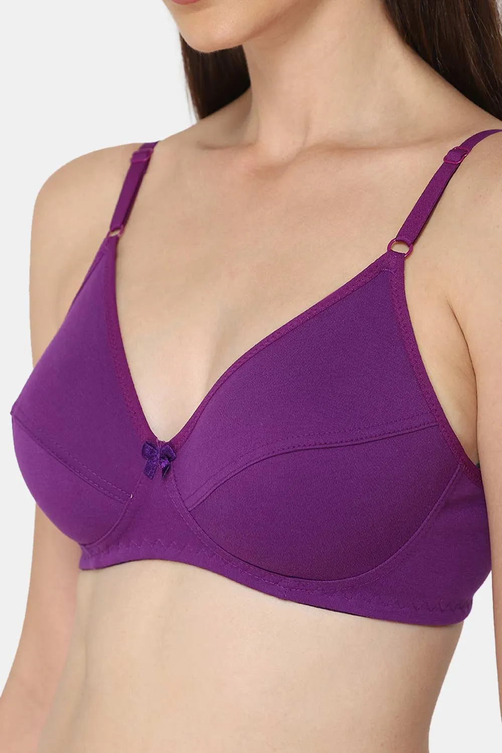 Intimacy Saree Bra Special Combo Pack - INT05 - C42