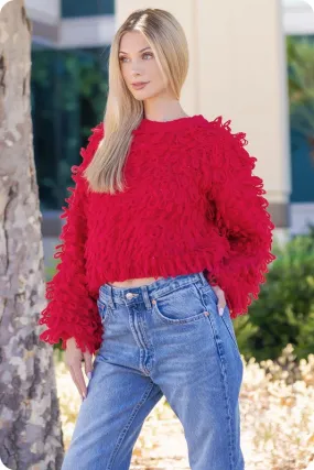 Red Knitted Fringe Shaggy Sweater