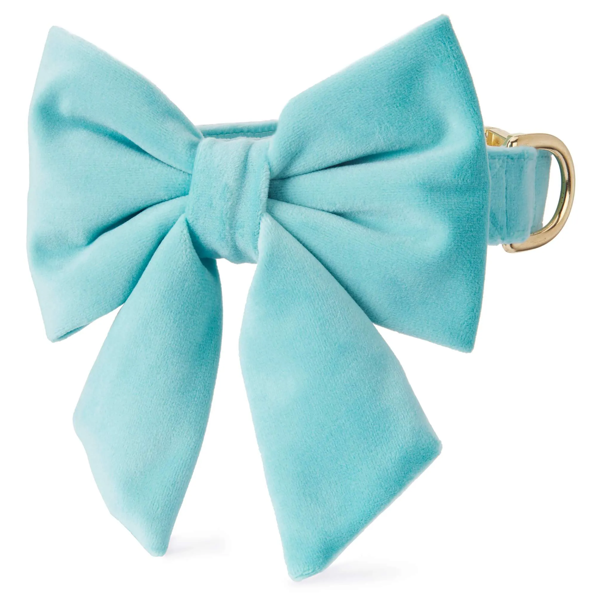 Robin’s Egg Velvet Lady Bow Collar